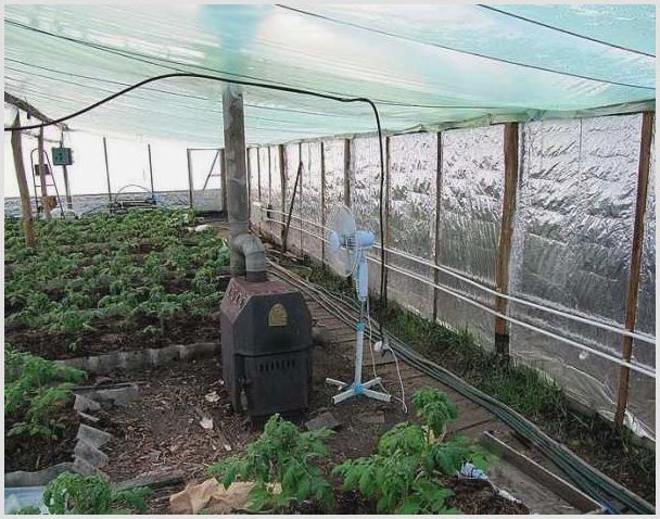 выращивания овощей
