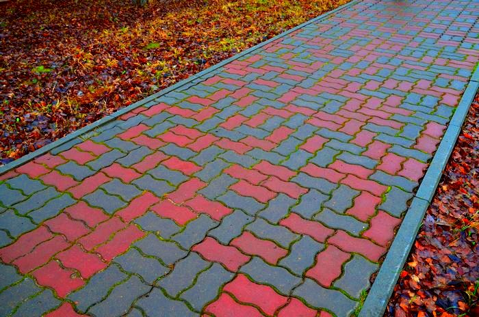 Тротуарная плитка вокруг участка - формы, размеры и цвета