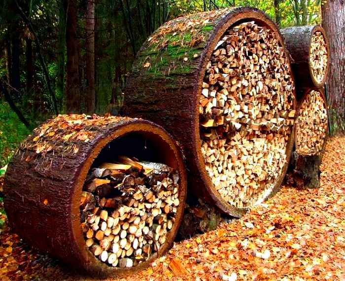 Как определить, достаточно ли сухие дрова?