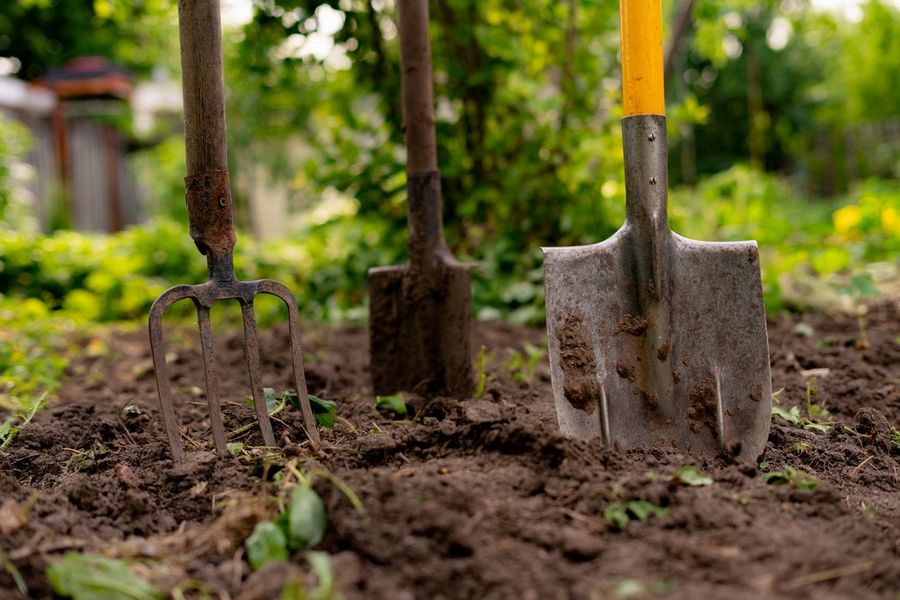 Основные инструменты для сада — какие из них нужно иметь?