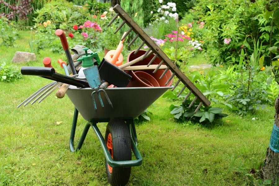 Основные инструменты для сада - какие из них нужно иметь?