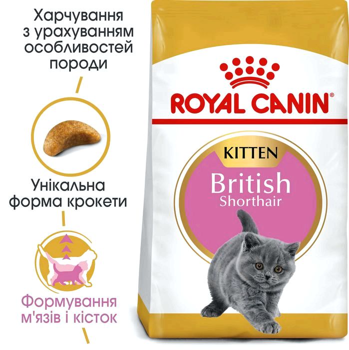Роял канін для британських котів: відгуки, ціна та вага 2 кг