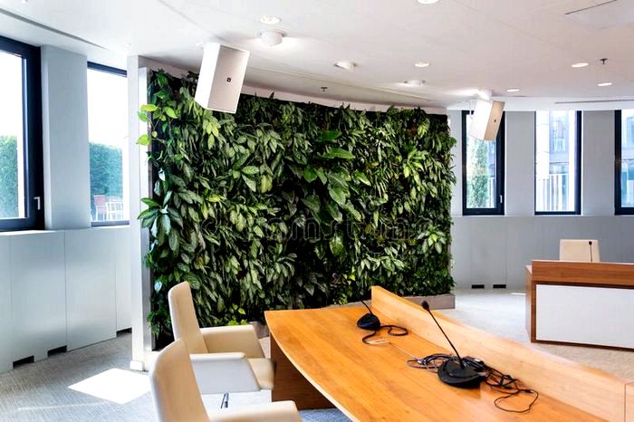 Фитоосвещение: Создайте зеленый уголок внутри помещения