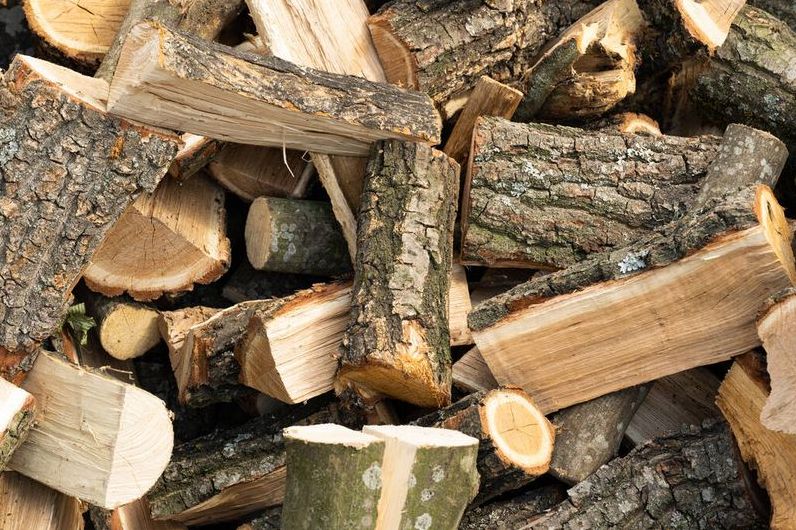 Які дрова краще купувати? Де купити дрова?