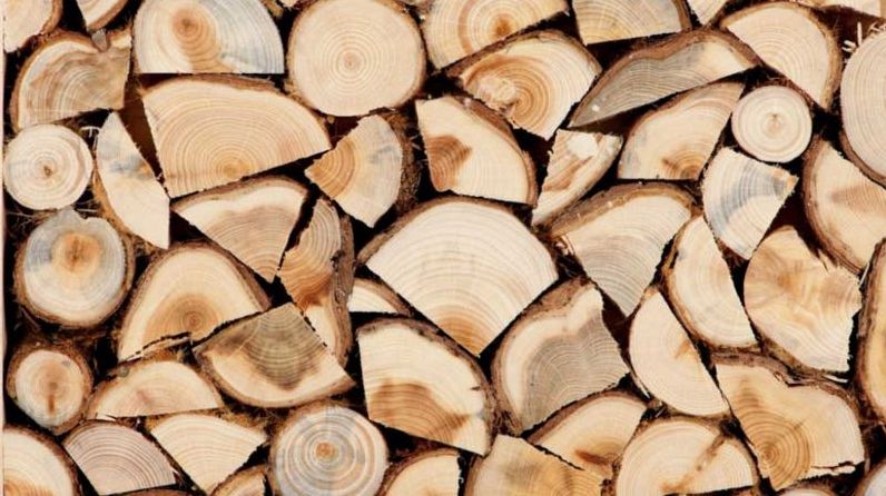 Які дрова краще купувати? Де купити дрова?