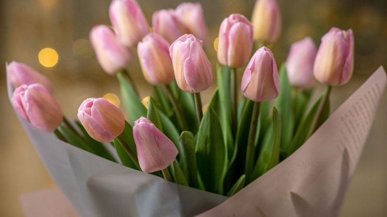 Святкуємо Міжнародний жіночий день: Вічний подарунок - квіти