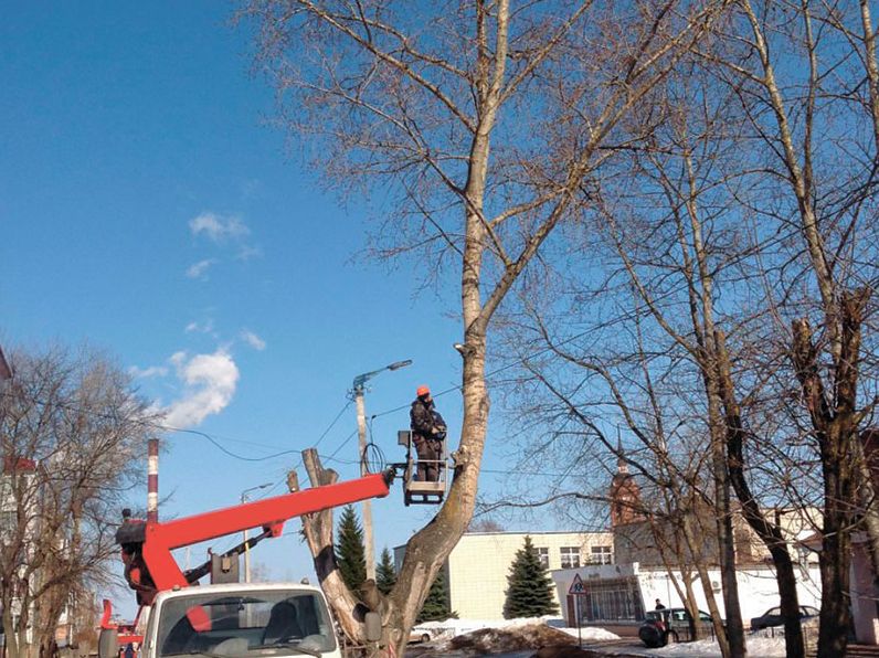Як автовишка покращує процес спилювання дерев у складних умовах